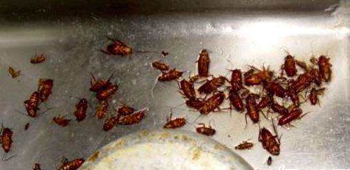 自己做洗衣粉,亲手做化学实验对能力有什么提高