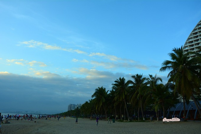 相约海之南歌曲,浪漫走天涯相约海之南