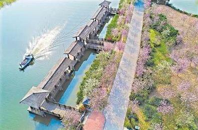 美爆了雨中的园博园风景美如画,美爆最美樱花大道继续绽放