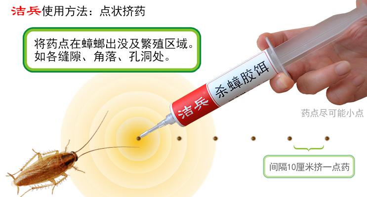 蚂蚁蟑螂怎么消灭,车内蟑螂怎么消灭