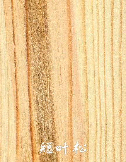 买实木家具板材的几大误区,购买家具误区