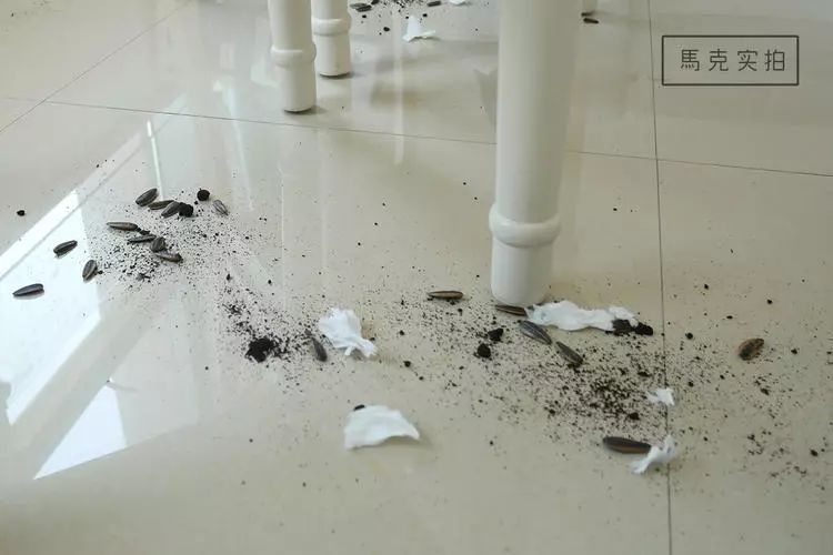 科沃斯和戴森机器人哪个好,irobotbraava擦地机器人