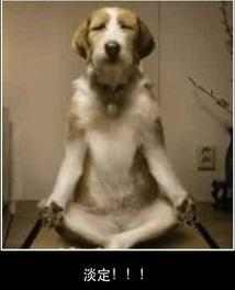 监理说带你了解厕所的前世今生