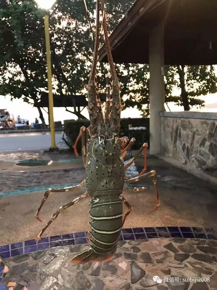 泰国普吉岛跟团游8天7晚,特价普吉岛跟团旅游