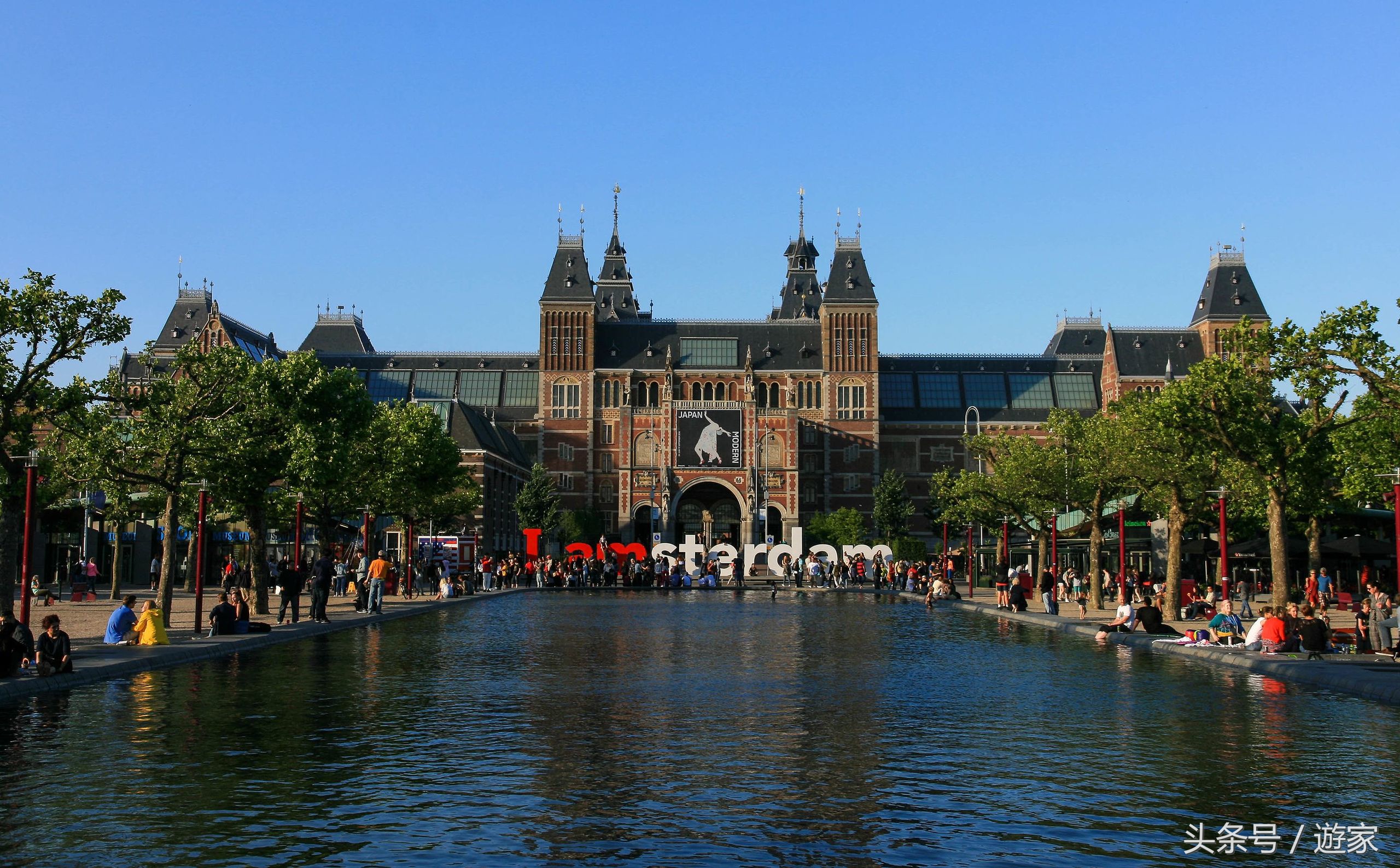 荷兰郁金香风光,维也纳冬天的花