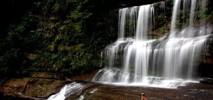 世界500强投资了300多家,泸州世界500强有哪些