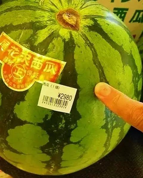 大麦青汁骗局揭秘,大麦青汁真的是万能吗