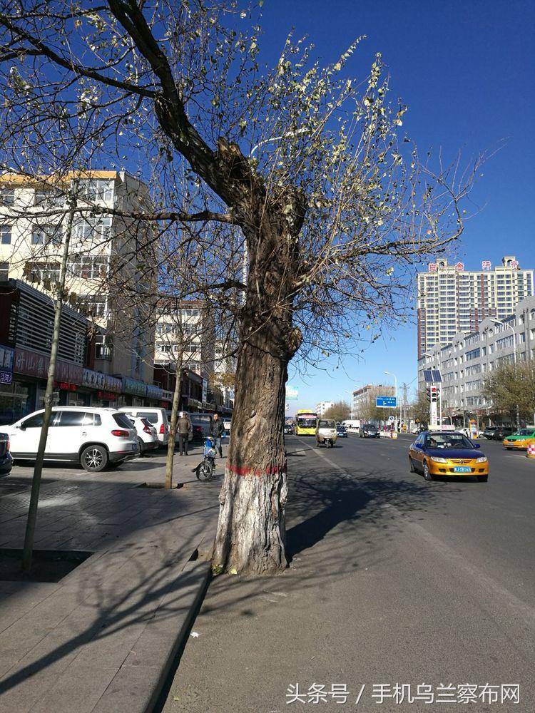 老集宁的回忆,老集宁的历史