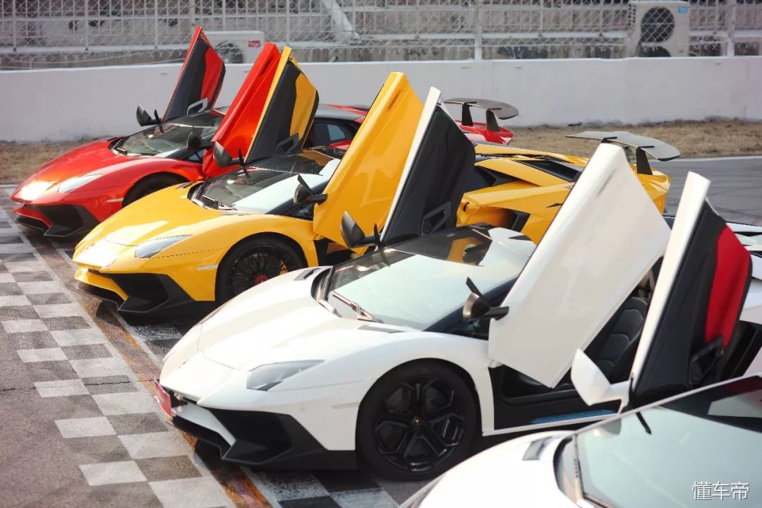 我和春天有个约会,我和春天有个约会阅读