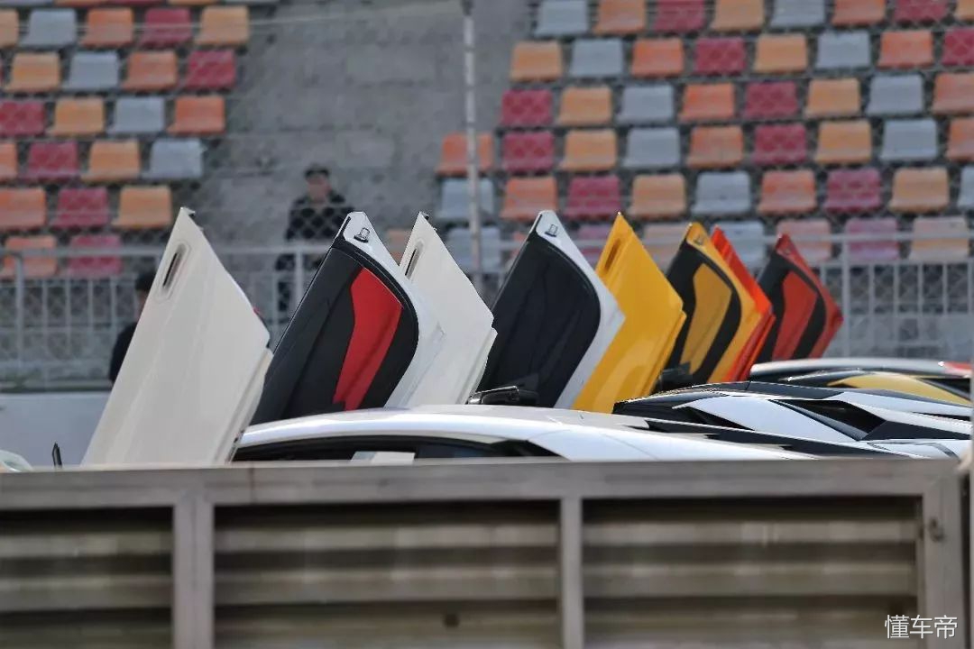 我和春天有个约会,我和春天有个约会阅读