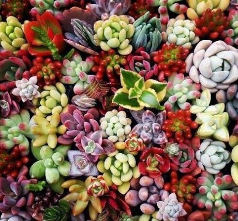 身在天涯心在咫尺情在心里,身在天涯心在墨里是什么意思