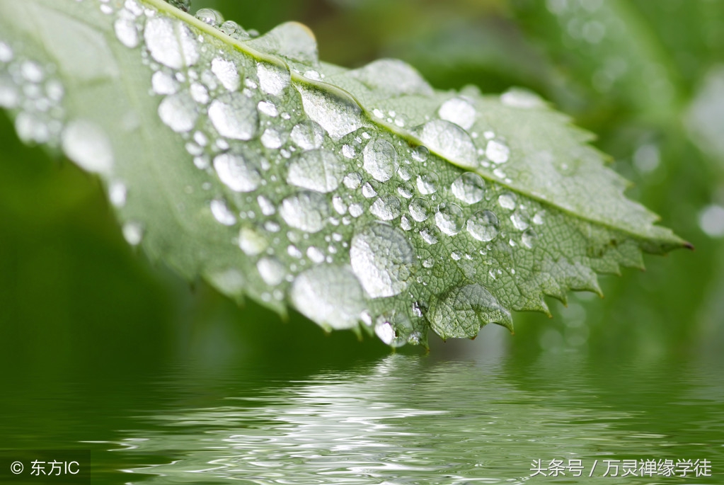 不为难别人是最好的教养,一个人最好的教养不是对外人