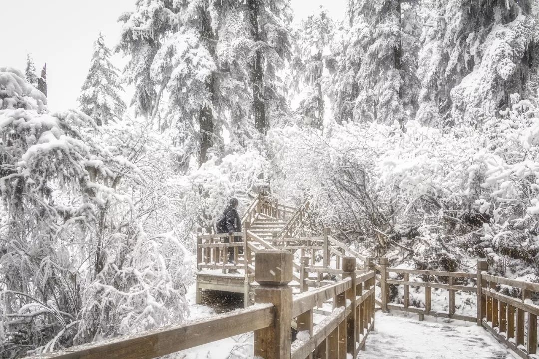 旅拍如何提升自己的质感,旅拍朋友圈怎么吸引人