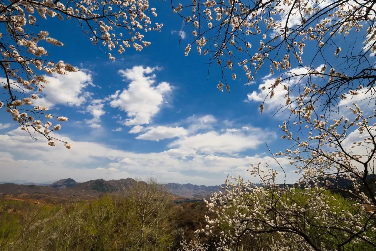 易县云蒙山皇家森林公园附近爬山,易县周边适合带孩子爬山的地方