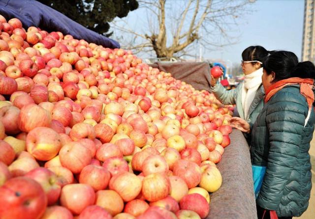 水果生意的技巧,如何做水果生意视频
