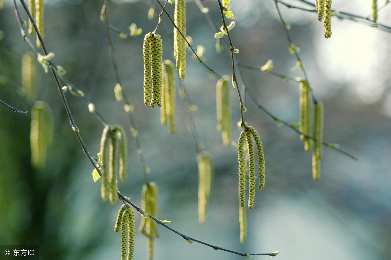 踩着碎碎的感伤，闭上眼帘，记不起你完整的笑容
