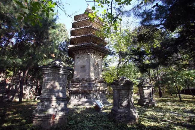 北京玉兰花观赏地,北京最美紫玉兰在哪