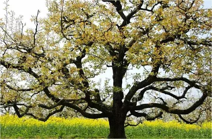 滨海，向全世界发出邀请！