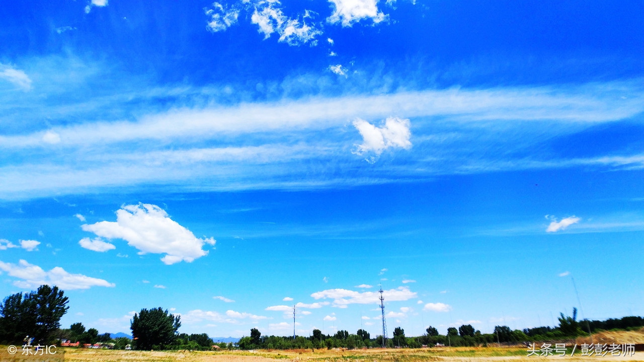山苍树的功效与作用及禁忌,山苍树的功效与作用