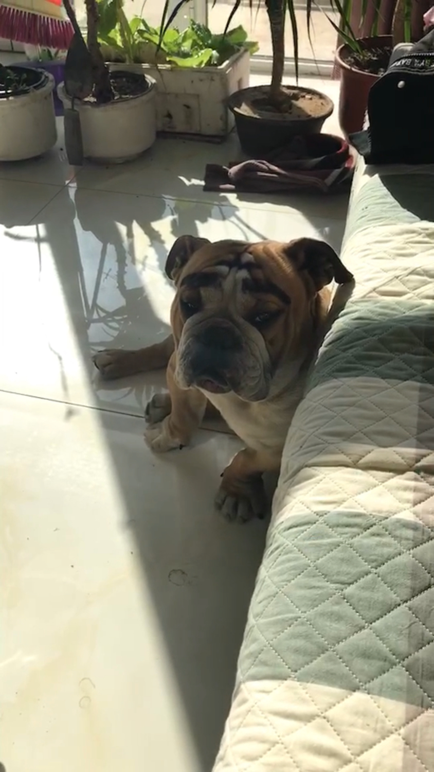 怎么让一件事情过去,怎么让一件事变得有意义