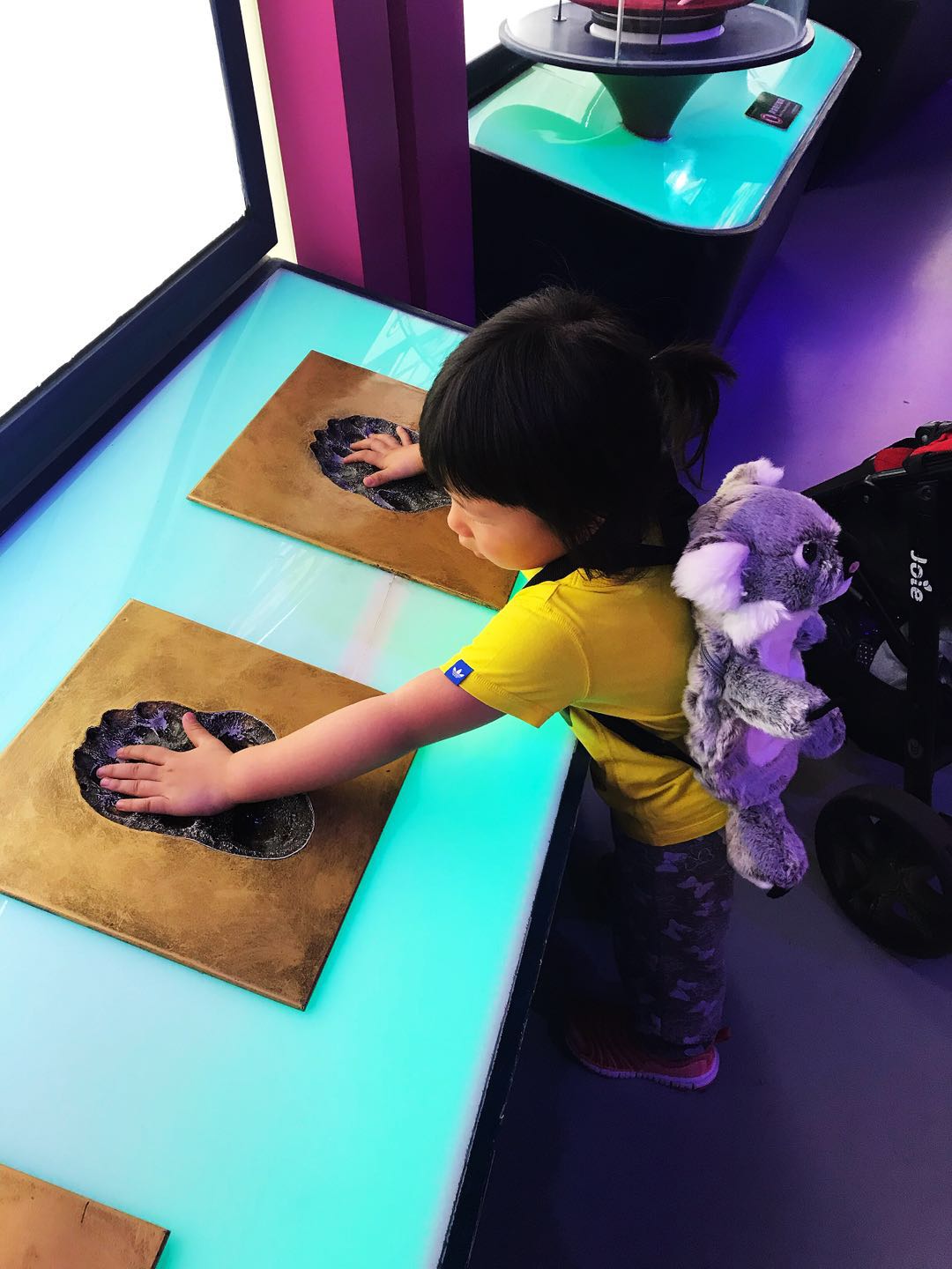 广州长隆野生动物园亲子游攻略,广州长隆野生动物园最全游玩攻略