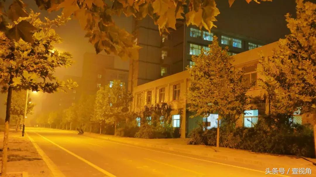 石家庄哪的公园樱花开了,石家庄樱花现在还有吗