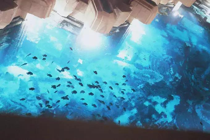 迪拜豪华团价格,迪拜私家团靠谱吗