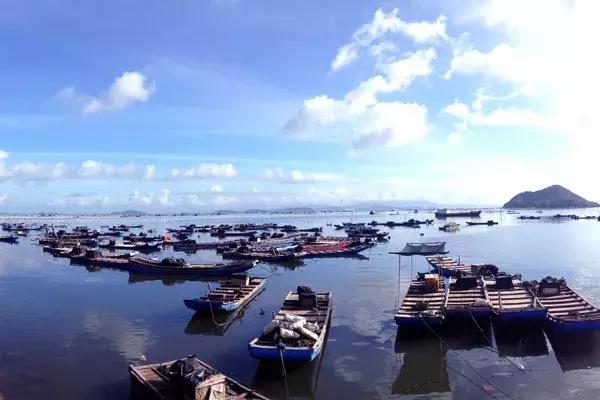 广东将建滨海景观公路路线图,广东未来第一长海滨公路