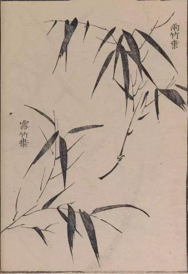 芥子园竹谱高清临摹,芥子园画谱原文