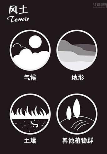 葡萄酒小知识葡萄酒怎么喝,喝葡萄酒一定要多了解葡萄酒知识