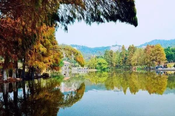 厦门自由行旅行攻略,厦门旅游攻略最详细自由行