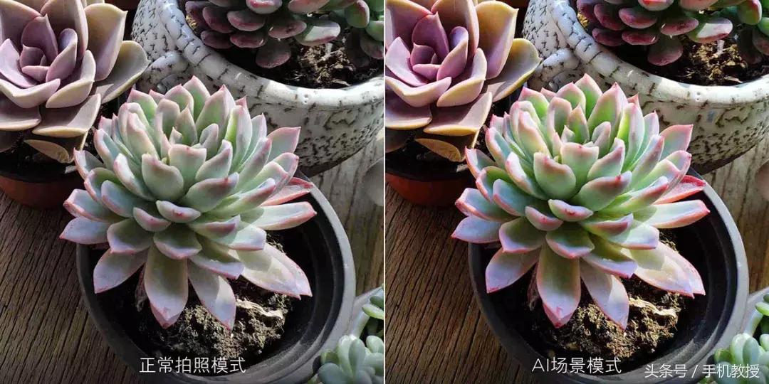 小米mix2s的拍照好不好,小米mix2s拍照到底怎样