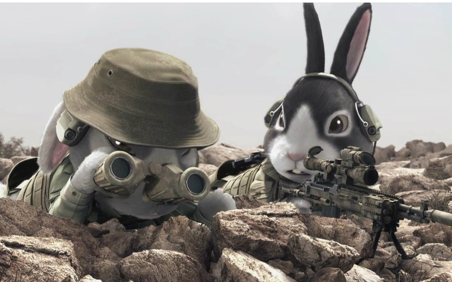 关于兔子的动画电影推荐,关于兔的16部电影