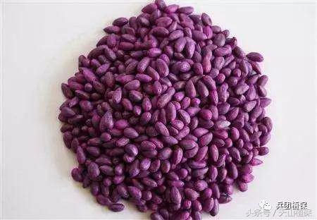 棉花种子备案手机版流程,如何办理种子生产经营备案表