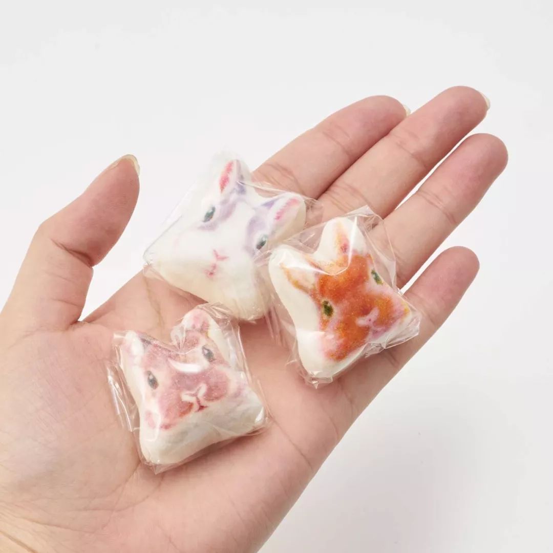 放开我的钱包啊！令猫奴闻风丧胆的种草大会！