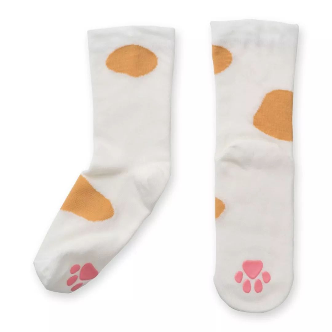 放开我的钱包啊！令猫奴闻风丧胆的种草大会！