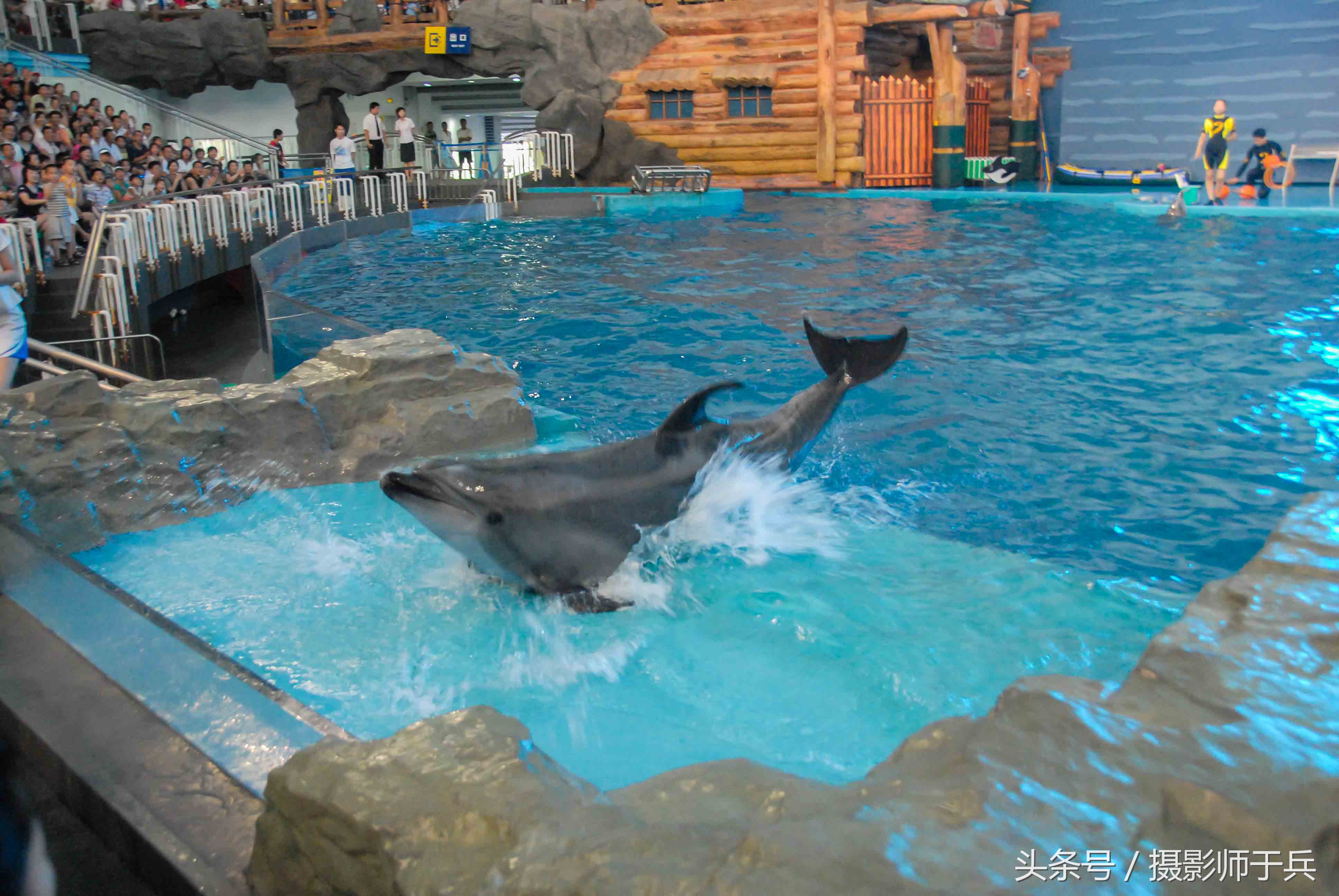 大连海洋主题公园在哪里,大连最著名的老虎滩海洋公园