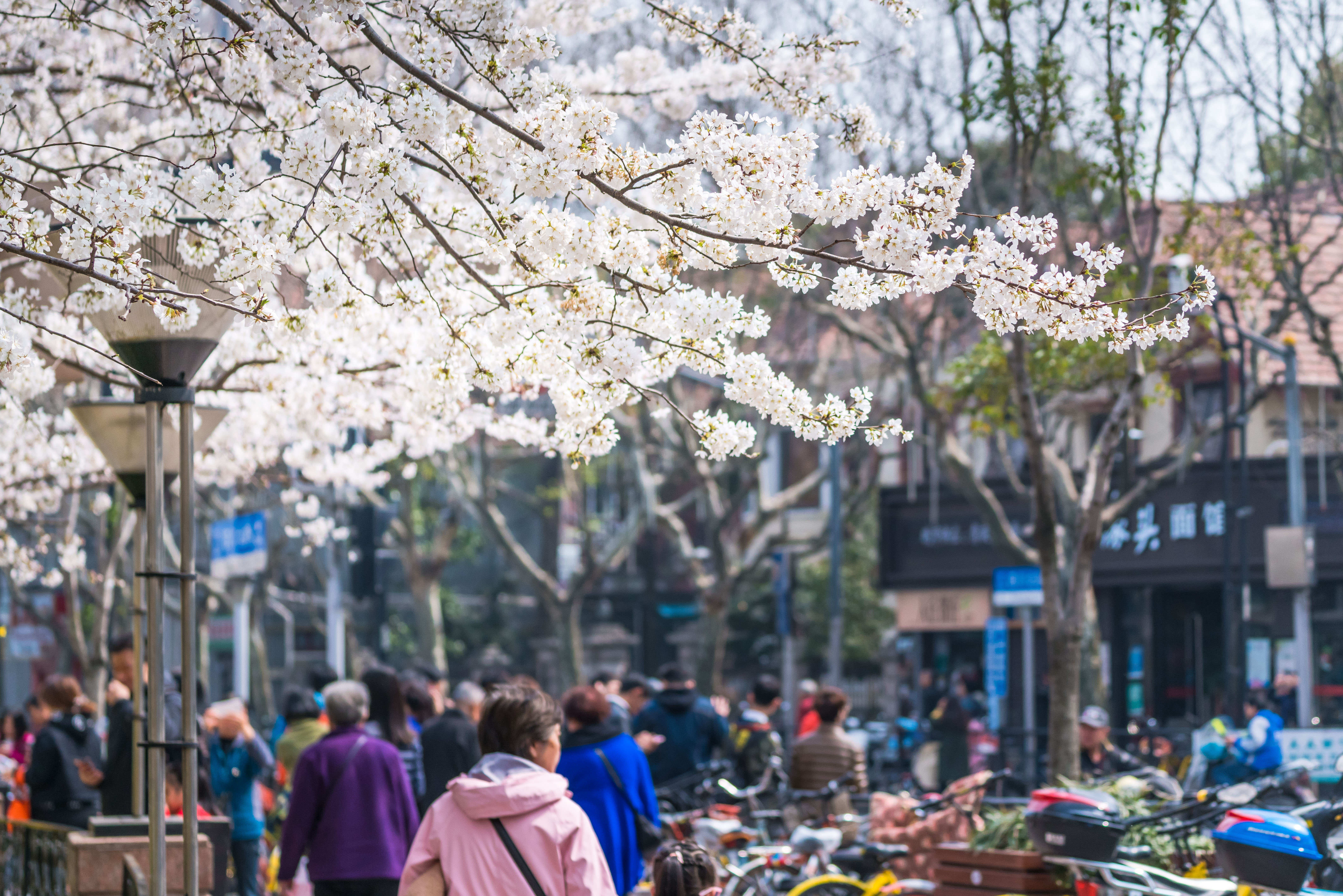 魔都最漂亮地铁站14号线,魔都最美地铁站豫园站