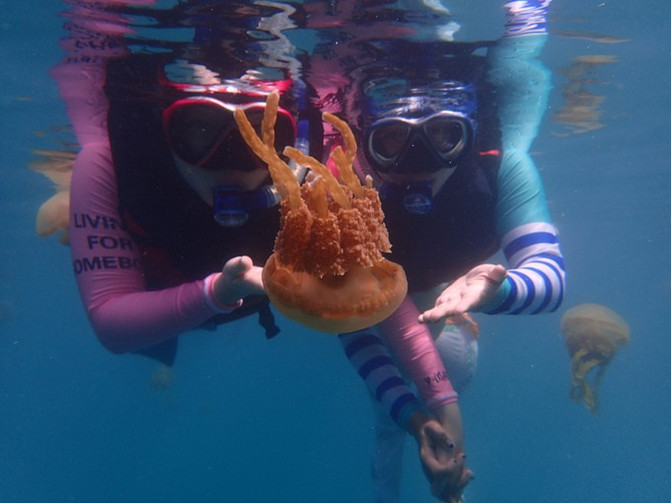 闺蜜一起游东湖公园,跟闺蜜一起去观光大海