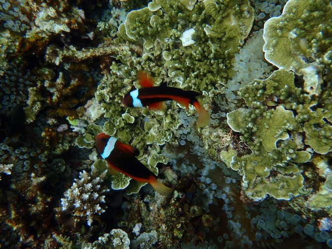 闺蜜一起游东湖公园,跟闺蜜一起去观光大海