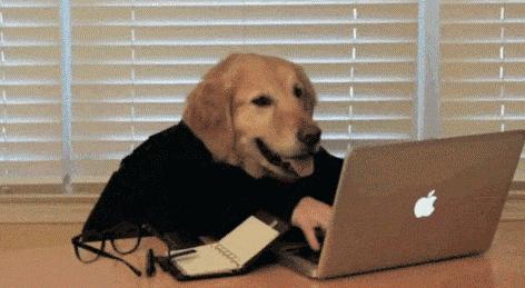 确认过的眼神是我想宠的人,确认过眼神是我想撩的灵魂