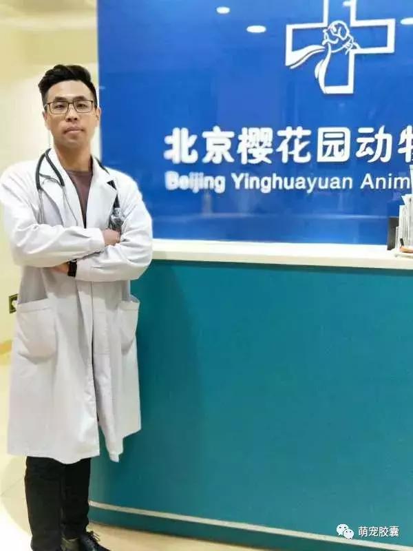 【V-story】做一名宠物医师是种怎样的体验?(上)