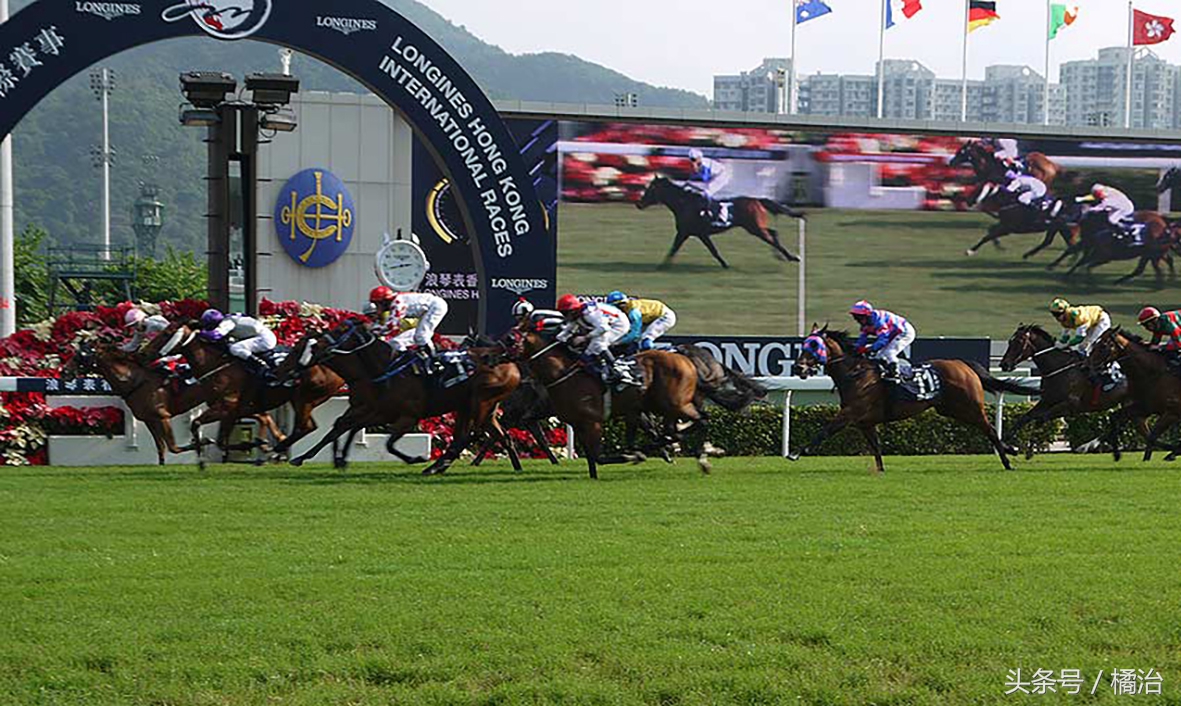 去香港赛马场，买张马票看马儿热血冲刺，超酷！（内含详细攻略）