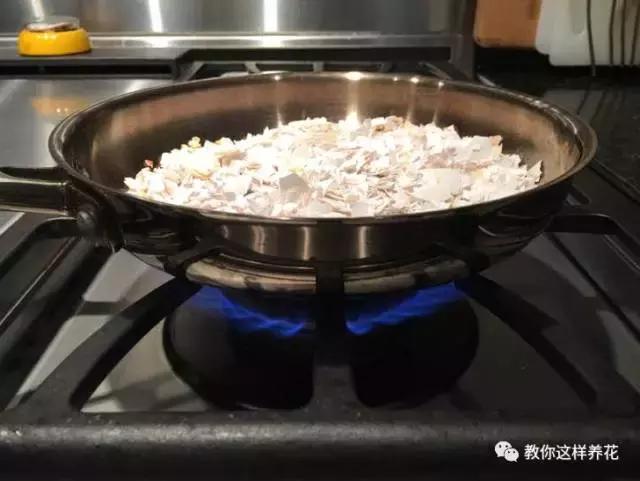 洋葱水可以浇君子兰吊兰绿萝吗,绿萝君子兰怎么养才能长得快