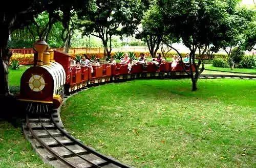 深圳仙湖植物园清明踏青赏花,深圳2022清明能去旅游吗