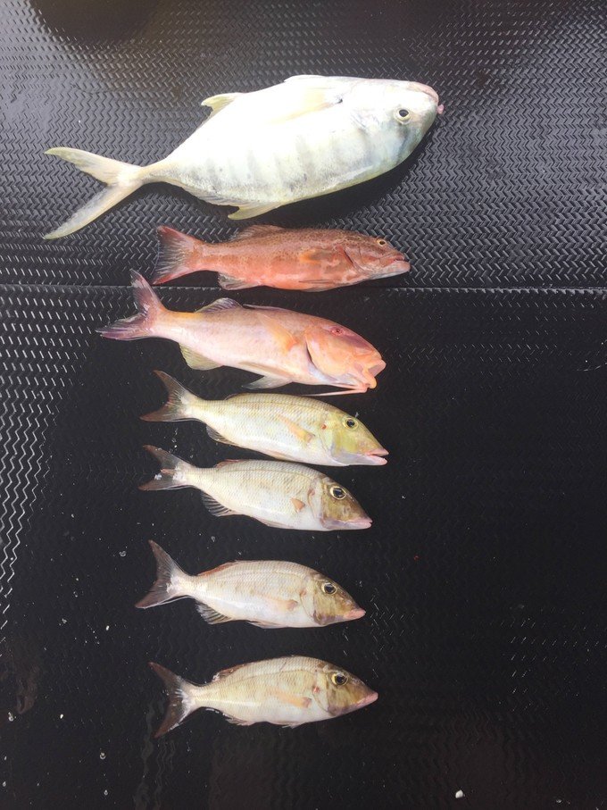 带着我的宝贝豆豆|一起去西太平洋上的海岛国家！