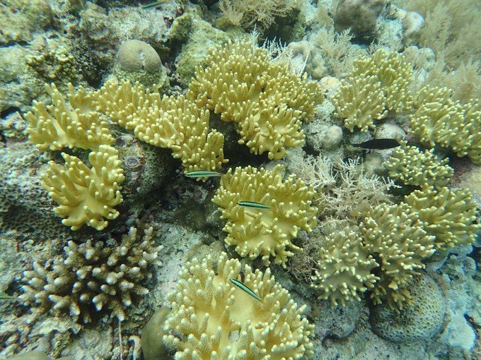 宝贝喜欢小金鱼,宝贝喜欢玩水