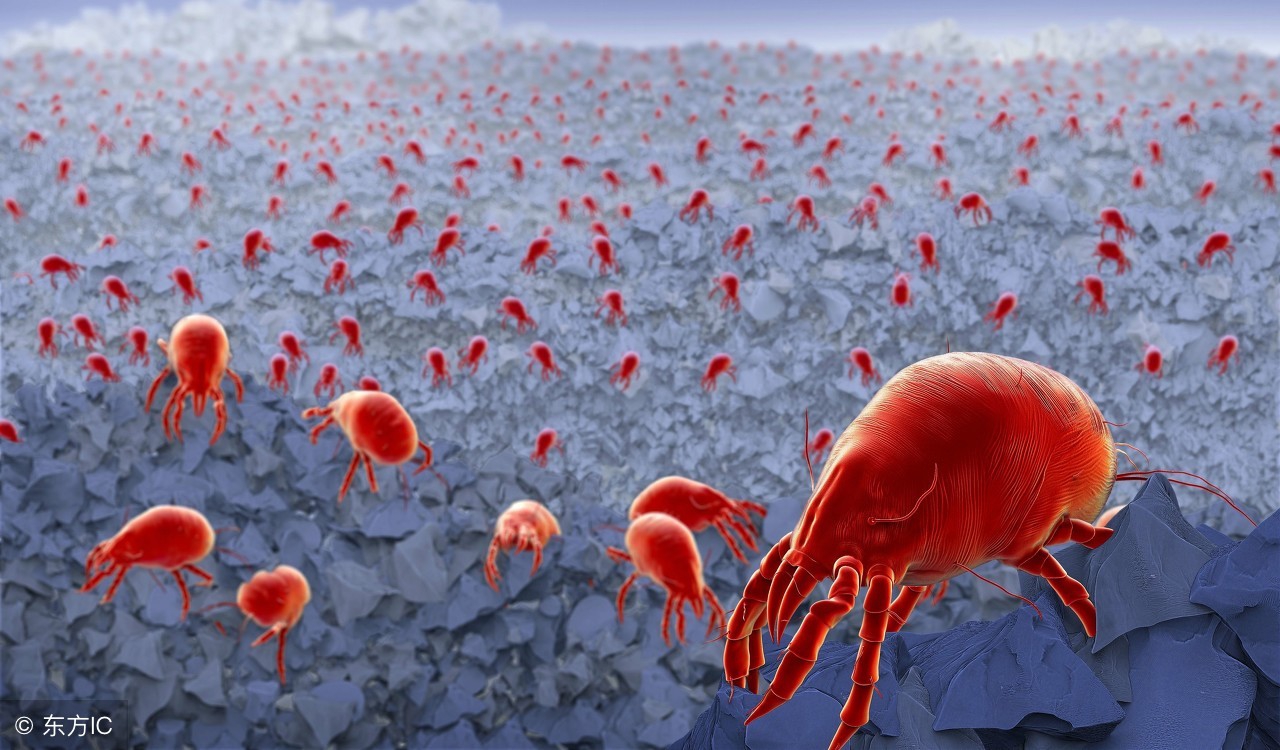 一般的硫磺皂可以洁面吗,硫磺洗脸皂和普通的硫磺皂区别