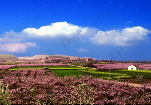张家港贝贝足球俱乐部招生,张家港凤凰贝贝足球活动