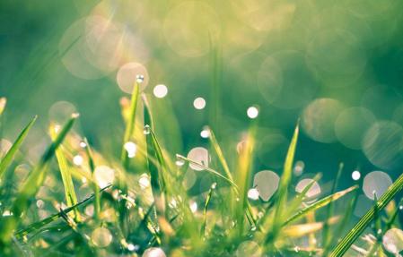 向撒“种子”的“匠人”致敬